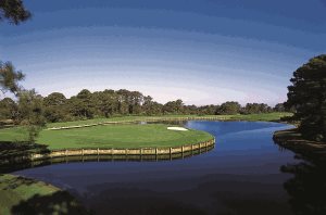 Golf course at Amelia Island